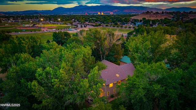 7435 Shadow Ln, Sparks, NV 89434 - photo 47