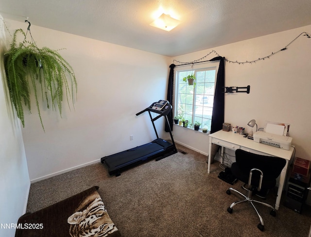 5776 Sculptor Ct, Sun Valley, NV 89433 - exercise area with carpet flooring and baseboards