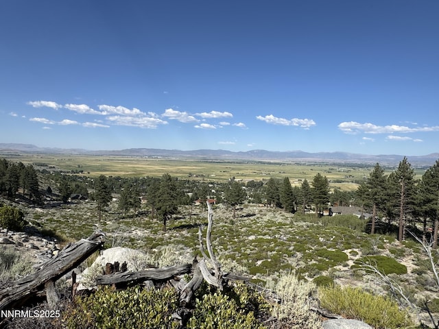 TBD Kingsbury Grade, Gardnerville, NV 89460 - photo 19
