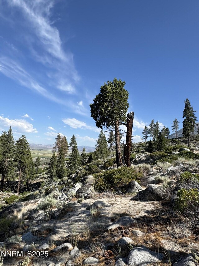 TBD Kingsbury Grade, Gardnerville, NV 89460 - photo 20