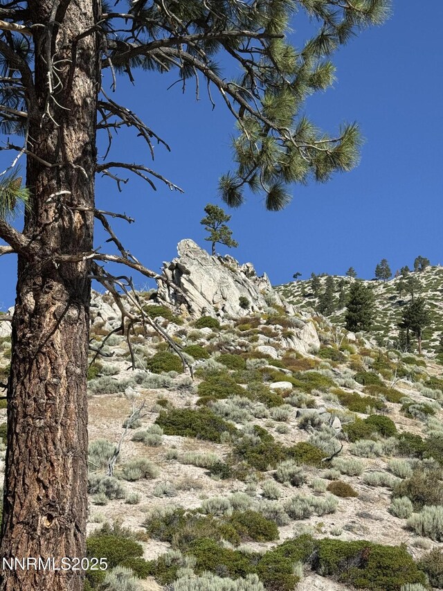 TBD Kingsbury Grade, Gardnerville, NV 89460 - photo 25