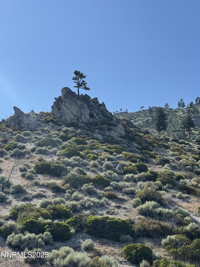 TBD Kingsbury Grade, Gardnerville, NV 89460 - photo 24