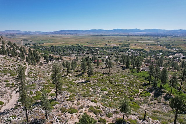 TBD Kingsbury Grade, Gardnerville, NV 89460 - photo 26