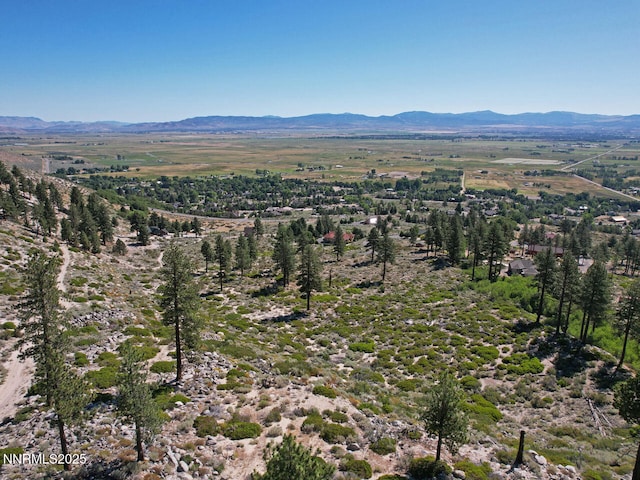 TBD Kingsbury Grade, Gardnerville, NV 89460 - photo 28