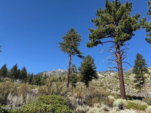 TBD Kingsbury Grade, Gardnerville, NV 89460 - photo 29