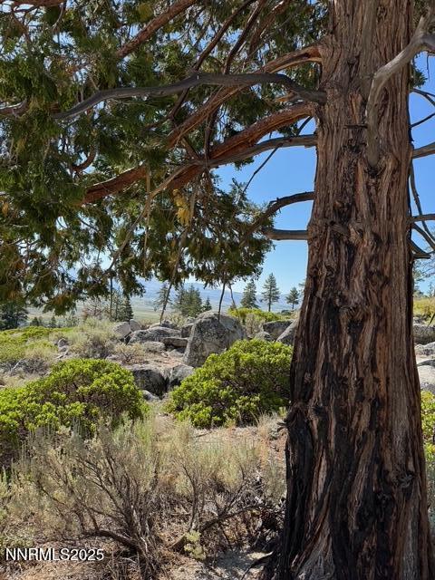 TBD Kingsbury Grade, Gardnerville, NV 89460 - photo 3