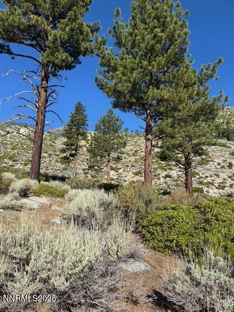 TBD Kingsbury Grade, Gardnerville, NV 89460 - photo 30