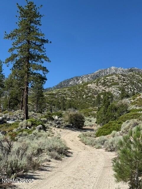 TBD Kingsbury Grade, Gardnerville, NV 89460 - photo 31