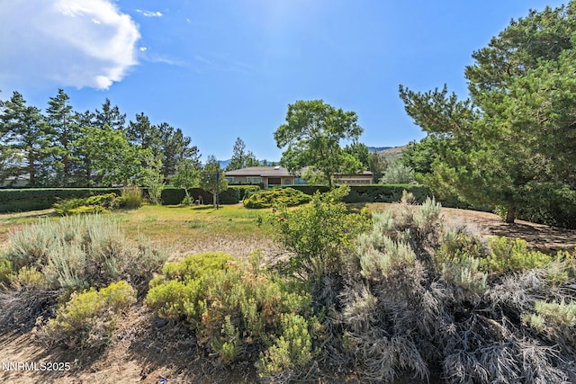 3650 Cherokee Dr, Carson City, NV 89705 - photo 3