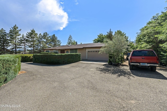 3650 Cherokee Dr, Carson City, NV 89705 - photo 4
