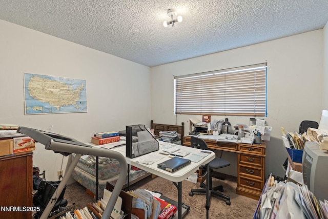3650 Cherokee Dr, Carson City, NV 89705 - photo 14