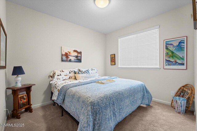 9225 Sassafras Trl, Reno, NV 89523 - photo 24
