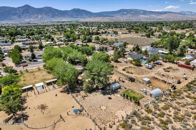 2659 Gordon Ave, Minden, NV 89423 - photo 33
