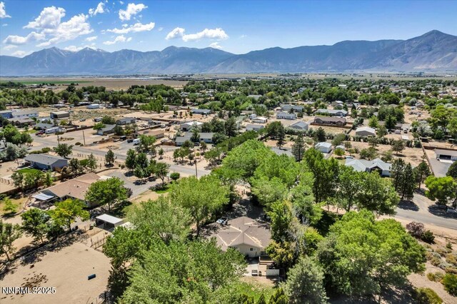 2659 Gordon Ave, Minden, NV 89423 - photo 34