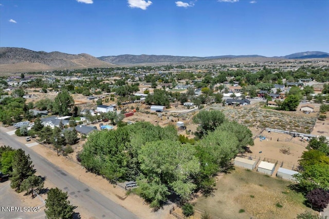 2659 Gordon Ave, Minden, NV 89423 - photo 35