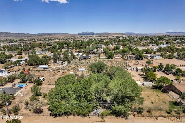 2659 Gordon Ave, Minden, NV 89423 - photo 36