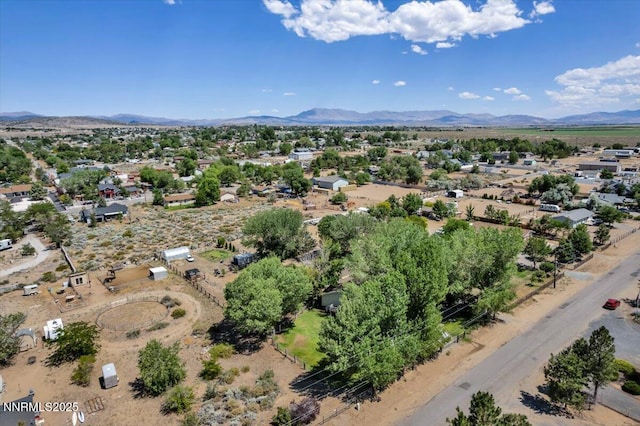 2659 Gordon Ave, Minden, NV 89423 - photo 37