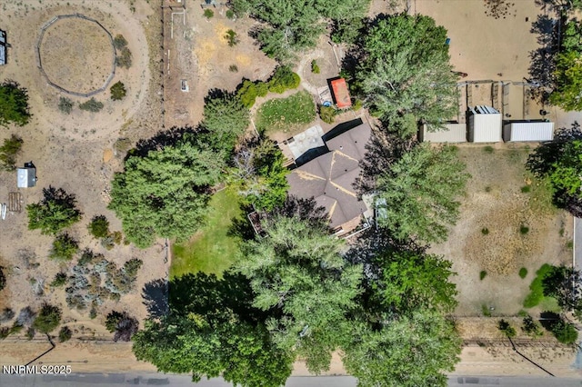 2659 Gordon Ave, Minden, NV 89423 - photo 38