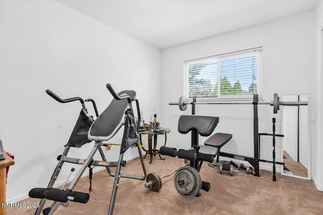 2659 Gordon Ave, Minden, NV 89423 - photo 27