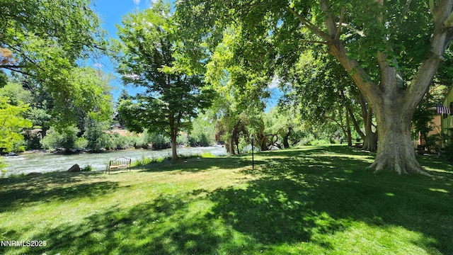 2300 Dickerson Rd Unit 16, Reno, NV 89503 - view of green lawn featuring view of scattered trees