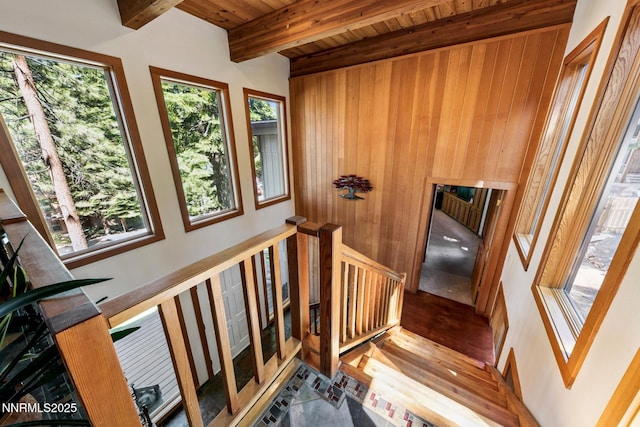 173 Hall Ct, Stateline, NV 89449 - stairway featuring a wooden ceiling with exposed beams, wood finished floors, and wood walls