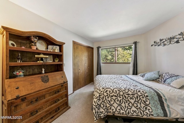 173 Hall Ct, Stateline, NV 89449 - bedroom featuring carpet floors and a closet