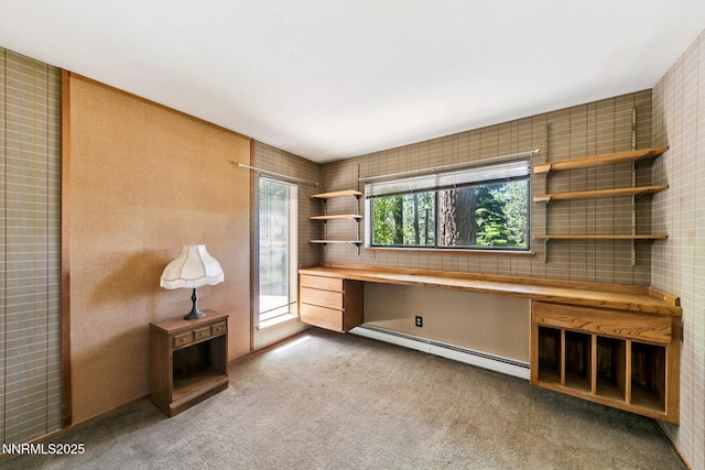 173 Hall Ct, Stateline, NV 89449 - unfurnished office featuring baseboard heating, built in study area, and carpet floors