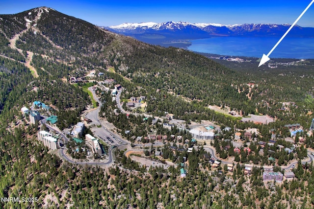173 Hall Ct, Stateline, NV 89449 - view of property location with a mountainous background