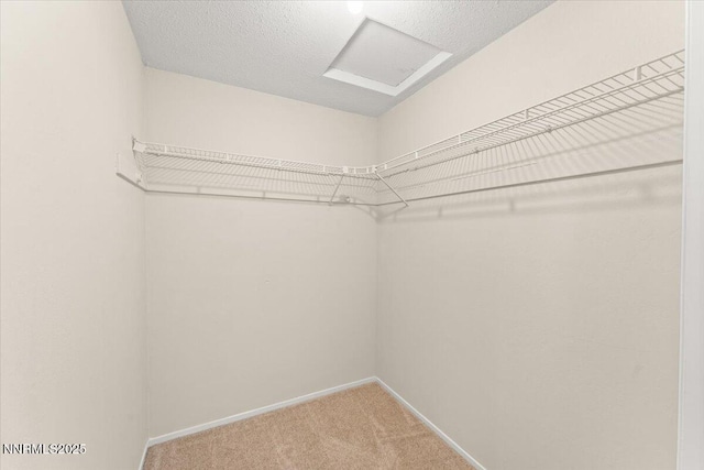 3482 Terrace Knoll Ct, Reno, NV 89512 - photo 20