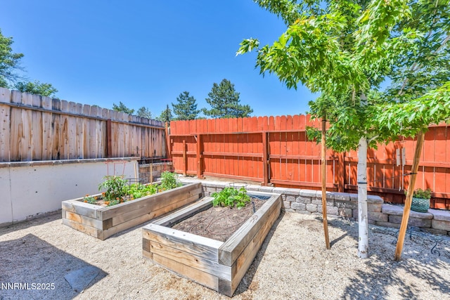 6670 Lotus St, Reno, NV 89506 - fenced backyard with a vegetable garden