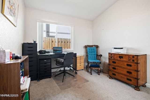 777 W Bonanza Dr, Carson City, NV 89706 - view of carpeted office