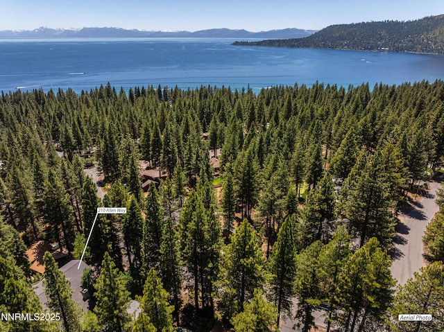 210 Allen Way, Incline Village, NV 89451 - view of property location with a water and mountain view and property boundaries highlighted