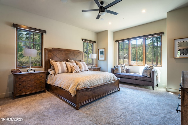 153 Walton Toll Rd, Carson City, NV 89705 - photo 28