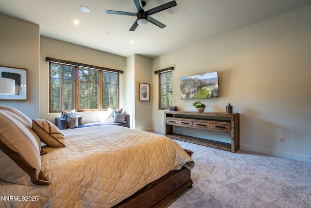 153 Walton Toll Rd, Carson City, NV 89705 - photo 29
