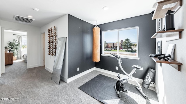 1639 Prancer St Lot # 47, Reno, NV 89523 - exercise area featuring healthy amount of natural light and carpet floors