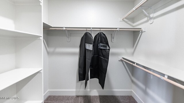 1639 Prancer St Lot # 47, Reno, NV 89523 - spacious closet featuring carpet flooring