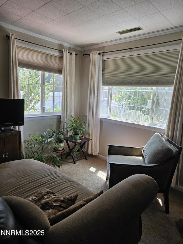 674 B St, Hawthorne, NV 89415 - photo 10