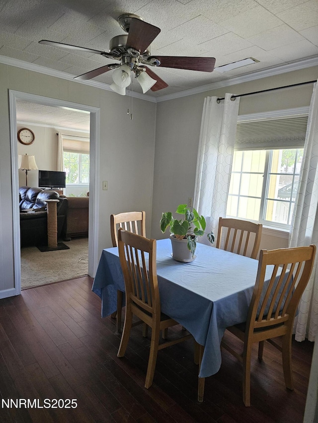 674 B St, Hawthorne, NV 89415 - photo 16