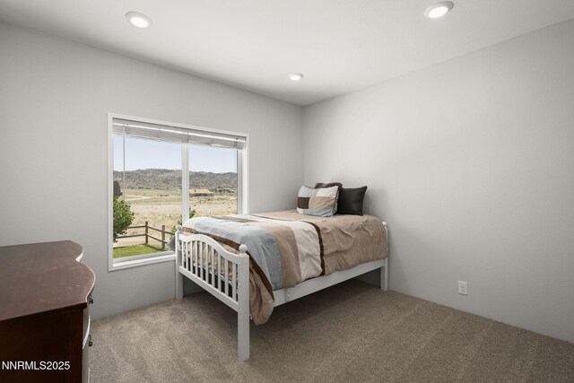 40 Owens Rd, Reno, NV 89506 - photo 22