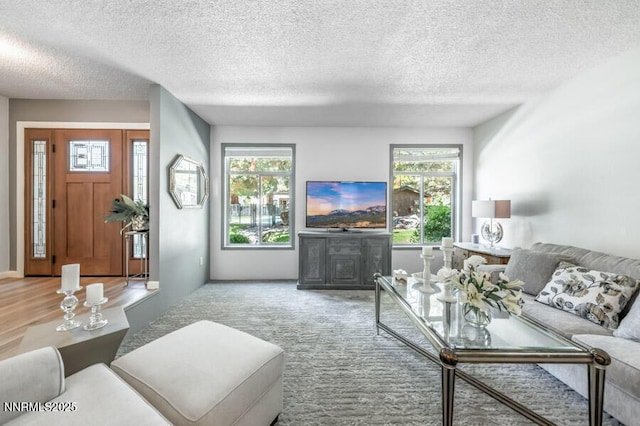 1419 Foster Dr, Reno, NV 89509 - carpeted living room featuring plenty of natural light and a textured ceiling