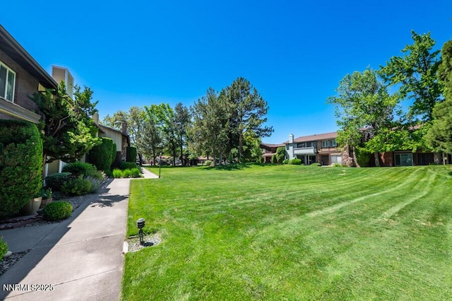 1419 Foster Dr, Reno, NV 89509 - view of green lawn