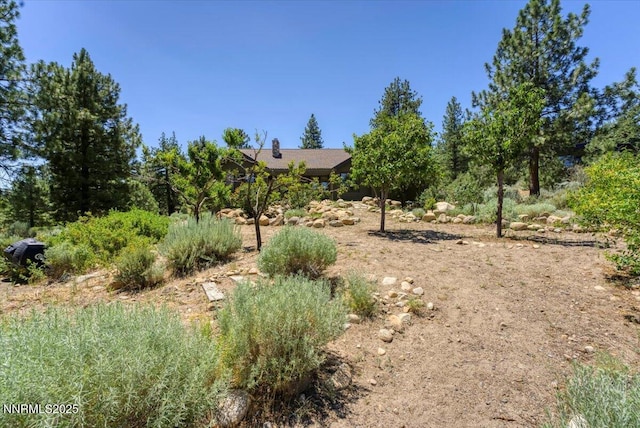 6195 Philoree Ln, Reno, NV 89511 - view of yard