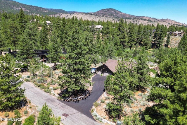 6195 Philoree Ln, Reno, NV 89511 - aerial view of property's location with a mountain backdrop