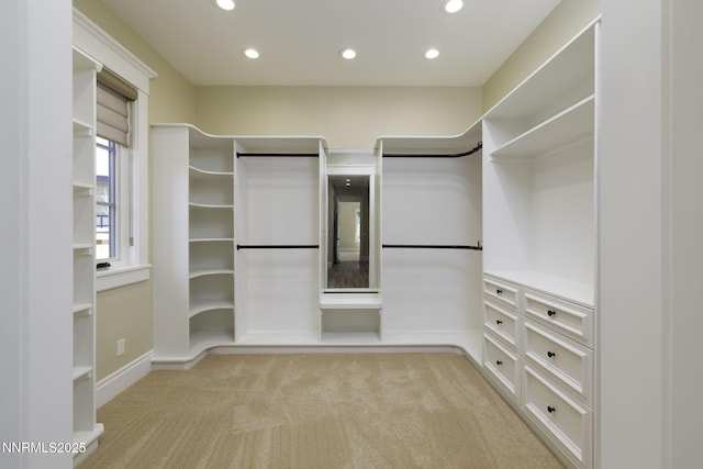 6145 Triple Crown Dr, Reno, NV 89511 - walk in closet with light colored carpet