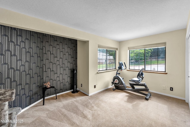 3279 Upland Ct, Carson City, NV 89703 - workout room featuring carpet floors and a textured ceiling