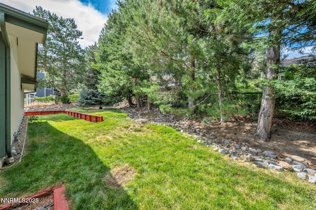 3279 Upland Ct, Carson City, NV 89703 - view of grassy yard