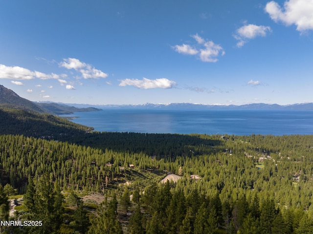 1459 Glarus Ct, Incline Village, NV 89451 - view of mountain backdrop featuring a heavily wooded area and a large body of water