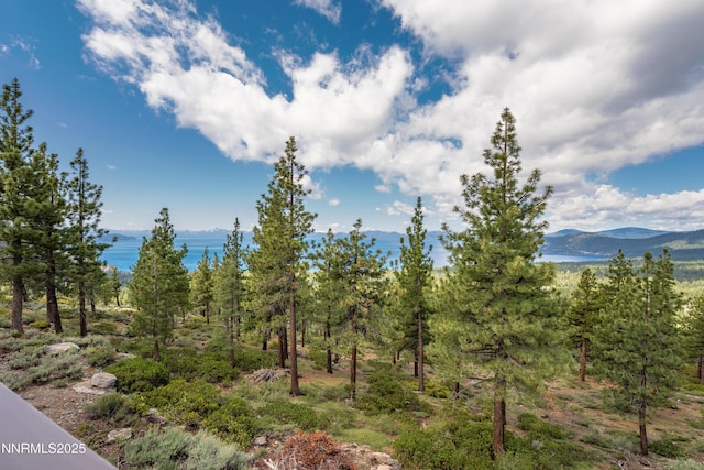 1459 Glarus Ct, Incline Village, NV 89451 - mountain view