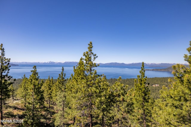 1459 Glarus Ct, Incline Village, NV 89451 - water view with a mountainous background and a heavily wooded area