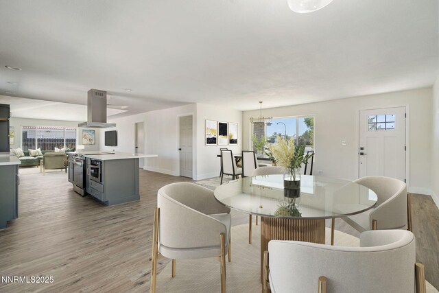 684 Carson River Dr, Fallon, NV 89406 - dining space with light wood-type flooring and a chandelier